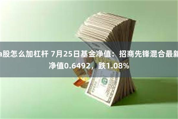 a股怎么加杠杆 7月25日基金净值：招商先锋混合最新净值0.6492，跌1.08%