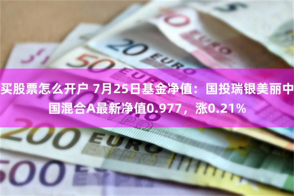 买股票怎么开户 7月25日基金净值：国投瑞银美丽中国混合A最新净值0.977，涨0.21%