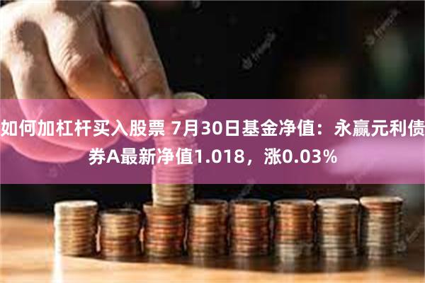 如何加杠杆买入股票 7月30日基金净值：永赢元利债券A最新净值1.018，涨0.03%