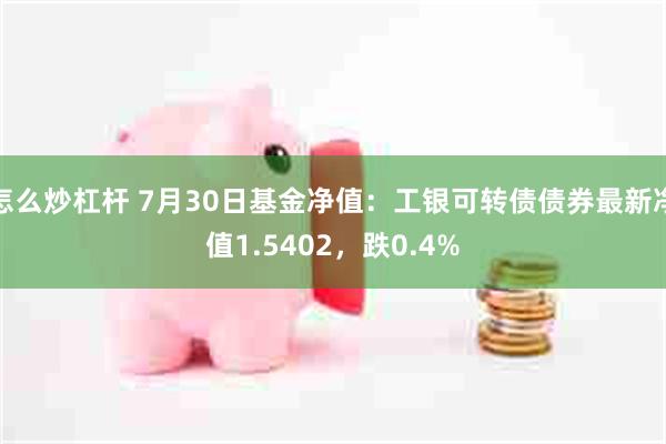 怎么炒杠杆 7月30日基金净值：工银可转债债券最新净值1.5402，跌0.4%