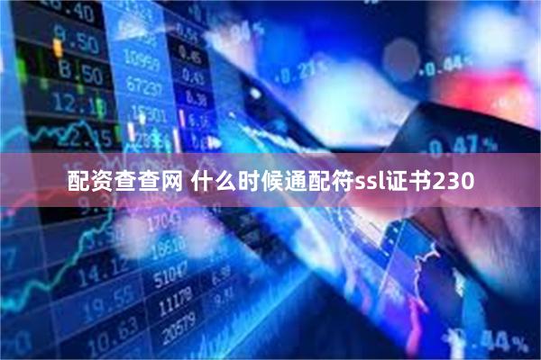 配资查查网 什么时候通配符ssl证书230