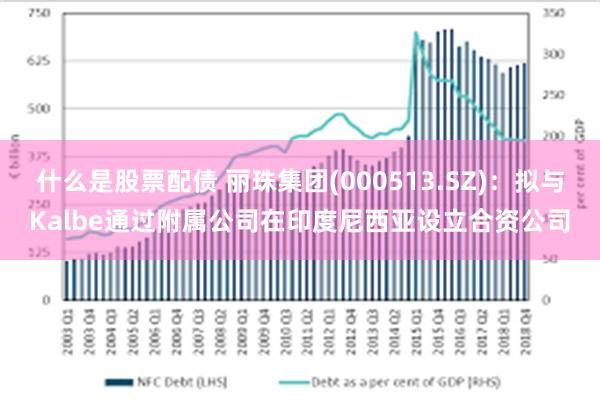 什么是股票配债 丽珠集团(000513.SZ)：拟与Kalbe通过附属公司在印度尼西亚设立合资公司