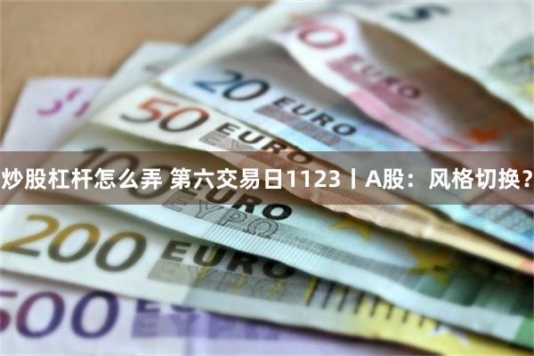 炒股杠杆怎么弄 第六交易日1123丨A股：风格切换？