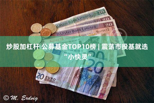 炒股加杠杆 公募基金TOP10榜 | 震荡市投基就选“小快灵”