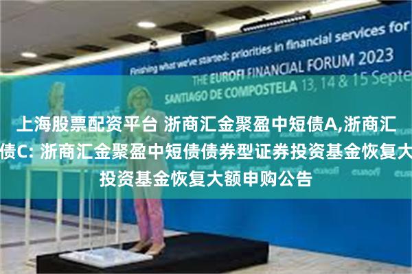 上海股票配资平台 浙商汇金聚盈中短债A,浙商汇金聚盈中短债C: 浙商汇金聚盈中短债债券型证券投资基金恢复大额申购公告