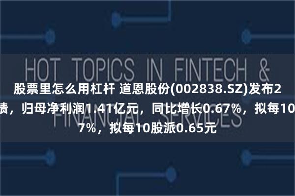 股票里怎么用杠杆 道恩股份(002838.SZ)发布2024年度业绩，归母净利润1.41亿元，同比增长0.67%，拟每10股派0.65元
